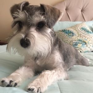 💕💕🐾🐾💕💕BELLA💕💕🐾🐾💕💕